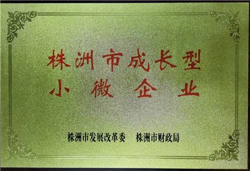 湖南世瑞環(huán)保科技有限公司,株洲治理餐飲油煙污染,廚房清理